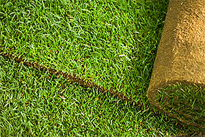 Synthetic Turf