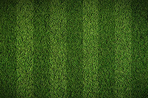 Synthetic Turf